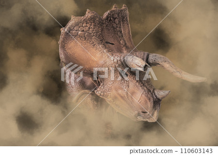 Triceratops  ,dinosaur in the dark 110603143