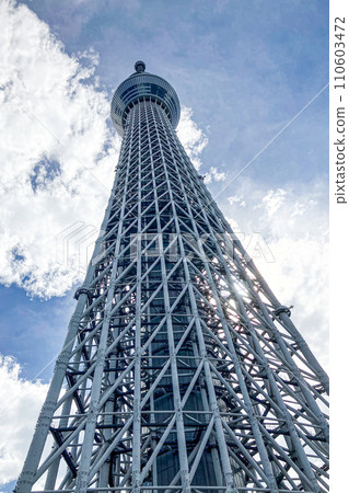 Sky tree  110603472