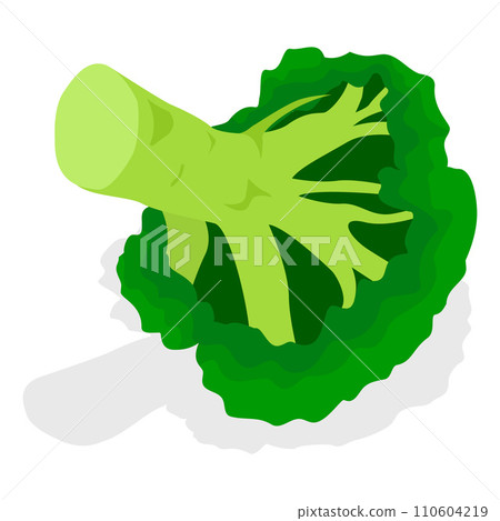 Eco broccoli icon set. Isometric set of eco broccoli vector icons for web design isolated on white background Eco broccoli icon set. Isometric set of eco broccoli vector icons for web design isolated on white background 110604219