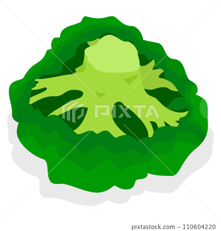 Fresh broccoli icon set. Isometric set of fresh broccoli vector icons for web design isolated on white background 110604220
