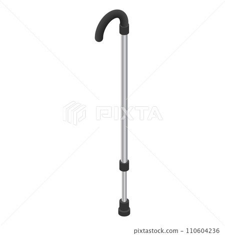 Walk stick icon set. Isometric set of walk stick vector icons for web design isolated on white background 110604236