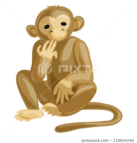 Monkey icon. Cartoon of monkey vector icon for web design isolated on white background Monkey icon. Cartoon of monkey vector icon for web design isolated on white background 110604248