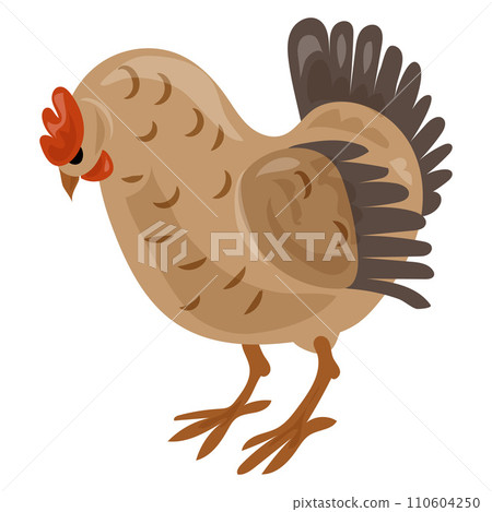 Chicken icon. Cartoon of chicken vector icon for web design isolated on white background 110604250