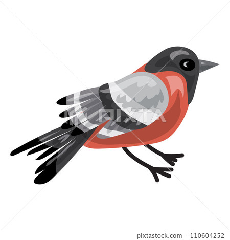 Bullfinch icon. Cartoon of bullfinch vector icon for web design isolated on white background 110604252