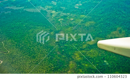 aerial view of tropical forest aerial view of tropical forest 110604323