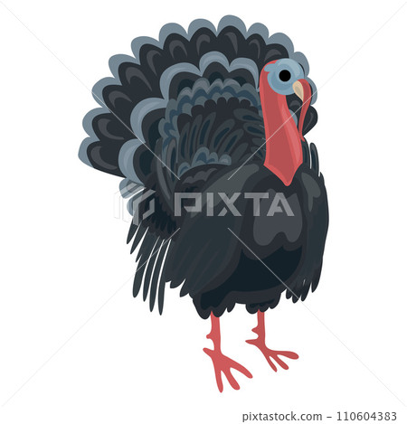 Turkey cock icon. Cartoon of turkey cock vector icon for web design isolated on white background 110604383