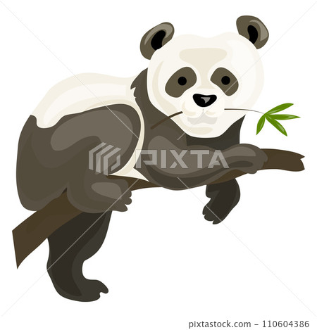Panda bear icon. Cartoon of panda bear vector icon for web design isolated on white background 110604386