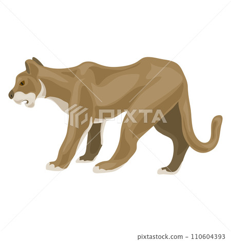 Lioness icon. Cartoon of lioness vector icon for web design isolated on white background 110604393