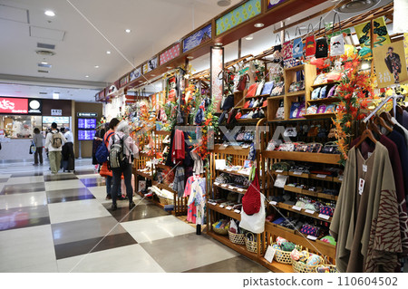 Nov 30 2023 the duty free in japan narita airport akihabara 110604502