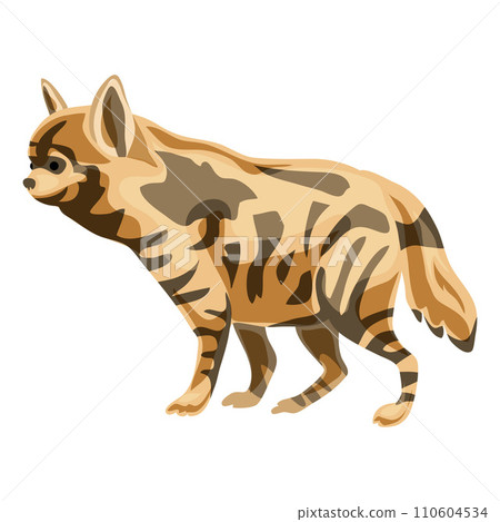 Hyena icon. Cartoon of hyena vector icon for web design isolated on white background Hyena icon. Cartoon of hyena vector icon for web design isolated on white background 110604534