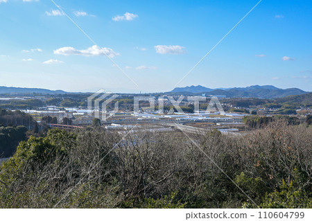 熊本縣合志市風景 110604799