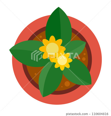 Top view plant pot icon. Flat illustration of top view plant pot vector icon for web design 110604816