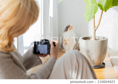 Woman photographing a cat at home Woman photographing a cat at home 110604925