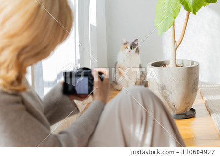 Woman photographing a cat at home Woman photographing a cat at home 110604927