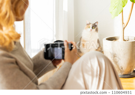 Woman photographing a cat at home Woman photographing a cat at home 110604931