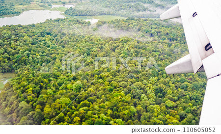aerial view of tropical forest aerial view of tropical forest 110605052