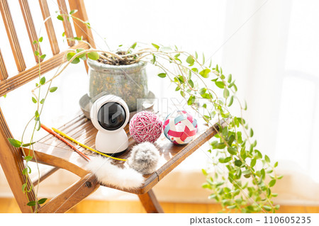 pet camera and cat toy pet camera and cat toy 110605235