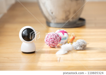 客廳地板上的寵物相機和貓玩具 110605324
