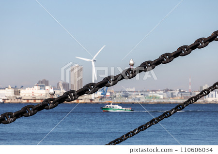 Port scenery and a black-tailed black-tailed gull perched on the anchor chain of a moored ship Port scenery and a black-tailed black-tailed gull perched on the anchor chain of a moored ship 110606034