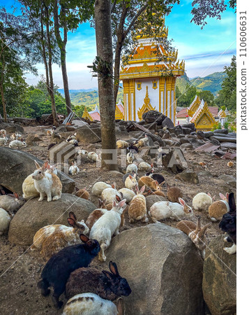 Wat Pra Putthabat Phu Kwai Ngoen, the rabbit temple, in Chiang Khan, Loei, Thailand 110606631