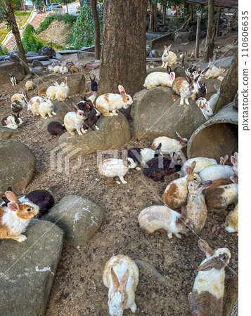 Wat Pra Putthabat Phu Kwai Ngoen, the rabbit temple, in Chiang Khan, Loei, Thailand 110606635
