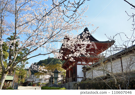 Amanosan Kongoji Temple (romon) [Amano, Kawachinagano City, Osaka Prefecture] 110607046
