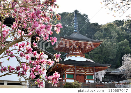 Amanosan Kongoji Temple (Tahoto Pagoda) [Amano, Kawachinagano City, Osaka Prefecture] 110607047