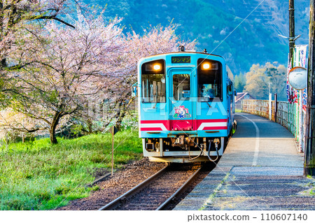 Tarumi Railway Tanigumiguchi Station where cherry blossoms bloom 110607140