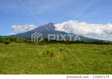 Mt. Fuji (Asahigaura / Shizuoka prefecture Fujinomiya City) Mt. Fuji (Asahigaura / Shizuoka prefecture Fujinomiya City) 110607174