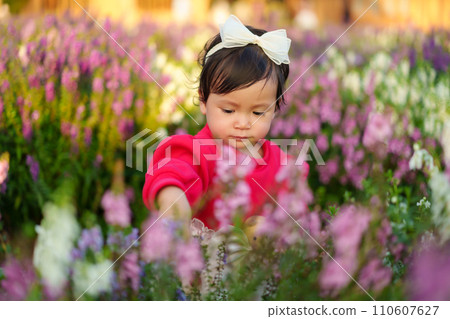 toddler girl enjoying Angelonia flower blooming toddler girl enjoying Angelonia flower blooming 110607627