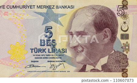 Turkish national currency 5 Lira banknote front view 110607873