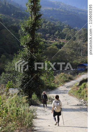 a woman walk in the Poonhill trekking circle near the Birethanti, Gangdaki in Nepal 110608395