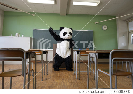 Panda dancing in an empty school classroom Panda dancing in an empty school classroom 110608878