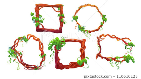 Jungle liana creeping vines formed in frames 110610123