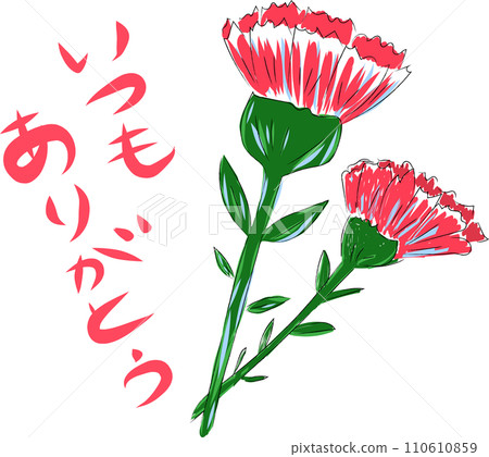 永遠感謝您母親節康乃馨 永遠感謝您母親節康乃馨 110610859