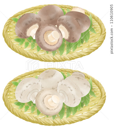 濾鍋上蘑菇的插圖 110610905