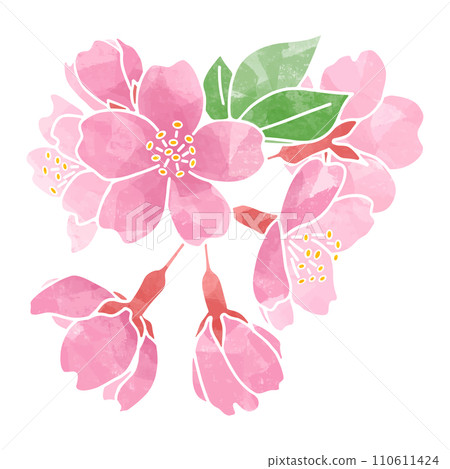 櫻花切圖水彩風格 110611424