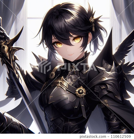 hero in black armor hero in black armor 110612509