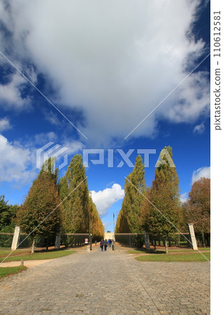 Walking along the Rue Petit Trianon in Versailles under the autumn sky (Yvelines, France) 110612581