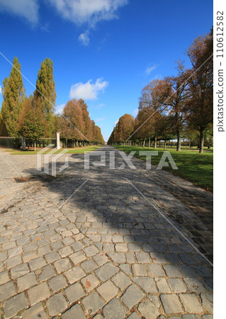 Walking along Rue Saint-Antoine in the Palace of Versailles under the autumn sky (Yvelines, France) 110612582