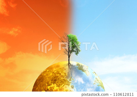 The difference between drought trees to growing trees on the ground with different sky 110612811