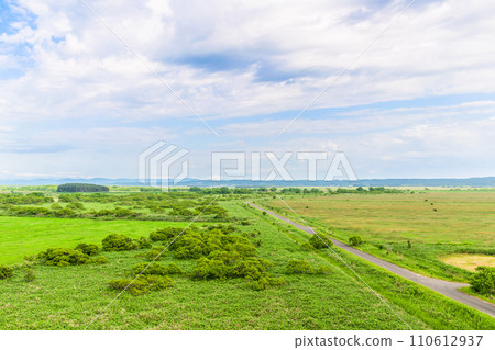 The scent of nature overlooking the Sarobetsu Plains 110612937