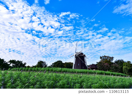有風車的公園 110613115