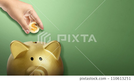 Human hands put golden dollar coins into the piggy bank 110613251