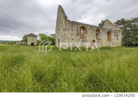 Haluzice, Romanesque church ruins, Slovakia Haluzice, Romanesque church ruins, Slovakia 110614208