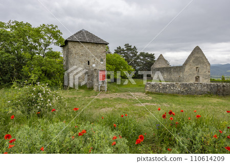 Haluzice, Romanesque church ruins, Slovakia Haluzice, Romanesque church ruins, Slovakia 110614209