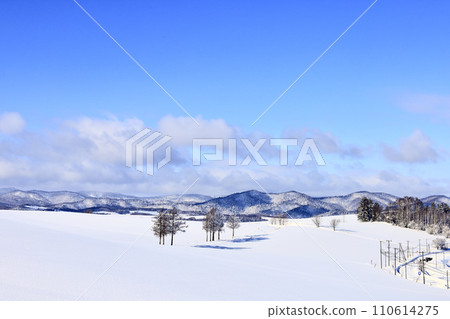 Biei Town, Hokkaido in winter with blue skies Biei Town, Hokkaido in winter with blue skies 110614275