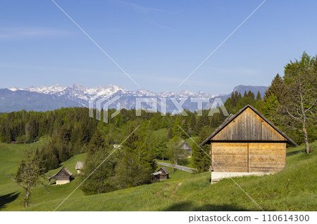 Typical wooden log cabins in Gorjuse, Triglavski national park, Slovenia 110614300