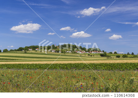 Traditional wine cellars with vineyard in Galgenberg near Wildendurnbach, Lower Austria, Austria 110614308
