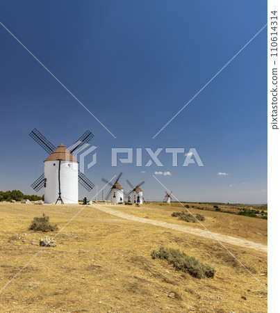 Windmills near Mota del Cuervo, Toledo, Castilla La Mancha, Spain 110614314